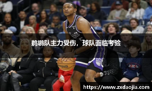 鹈鹕队主力受伤，球队面临考验