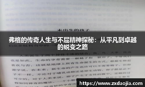OB电竞官网
