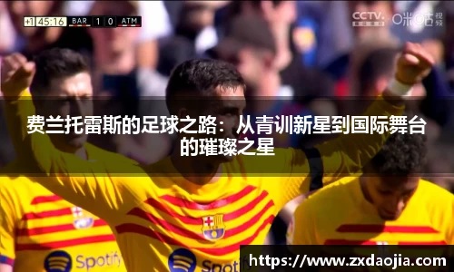 费兰托雷斯的足球之路：从青训新星到国际舞台的璀璨之星