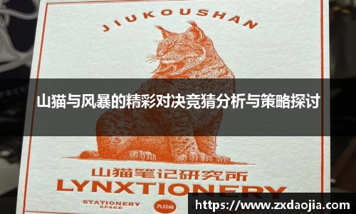 山猫与风暴的精彩对决竞猜分析与策略探讨